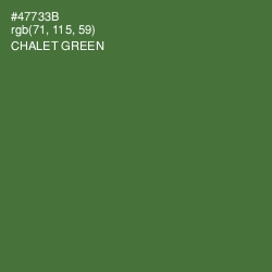 #47733B - Chalet Green Color Image
